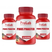 Pinus Pinaster (Kit 3 Frascos) 150 Mg 120 Cápsulas Cada